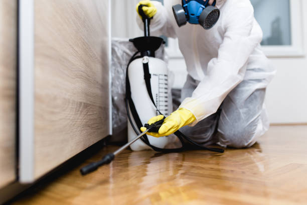 Best Best Pest Control Companies  in Stayton, OR