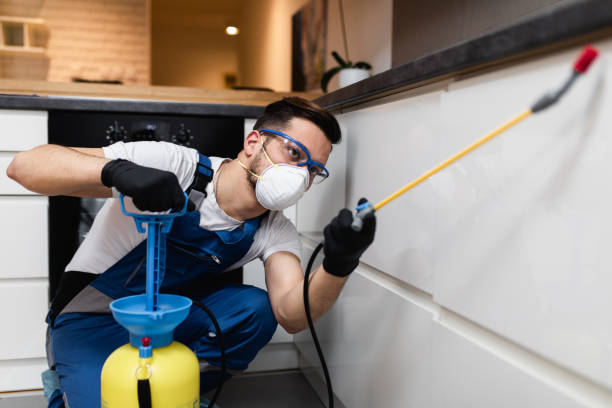 Best Termite Control Services  in Stayton, OR