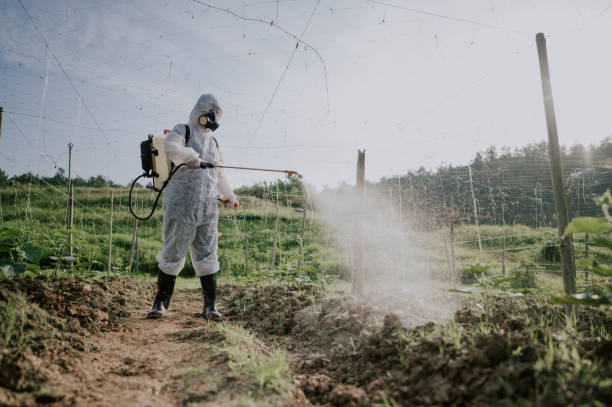 Best Commercial Pest Control Services  in Stayton, OR