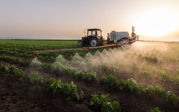 Best Pest Prevention Services  in Stayton, OR