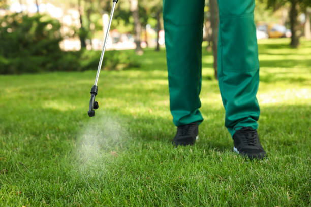 Professional Pest Control in Stayton, OR