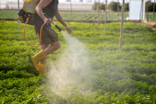 Best Best Pest Control Companies  in Stayton, OR