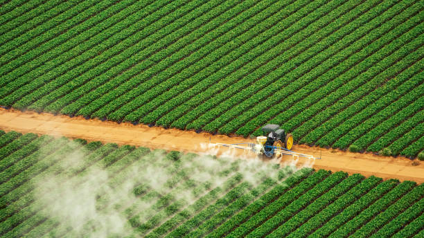 Best Mosquito Control Services  in Stayton, OR