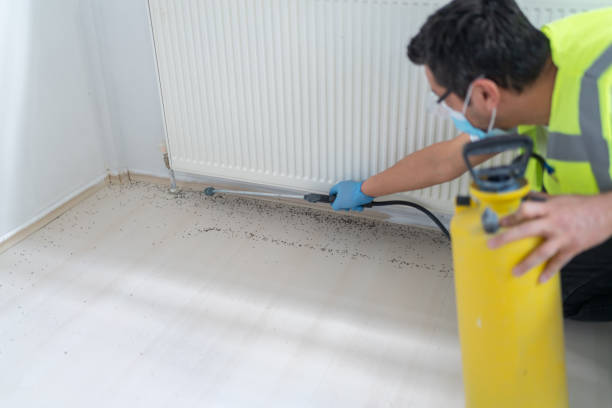 Best Ant Control Services  in Stayton, OR